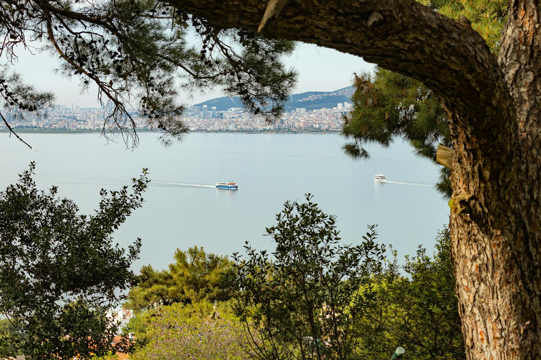 緑の木々の隙間から遠くにボスポラス海峡を望む絶景。