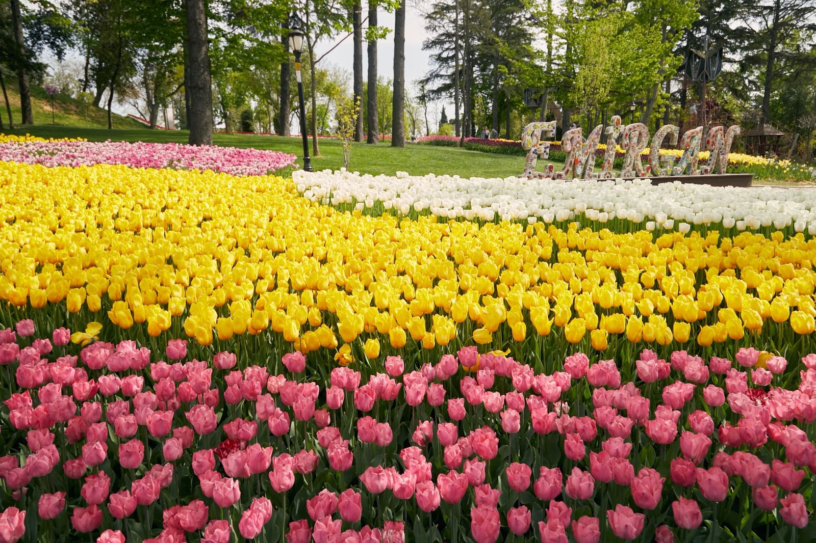エミルガン公園のサイン看板と周囲に咲くチューリップ花壇