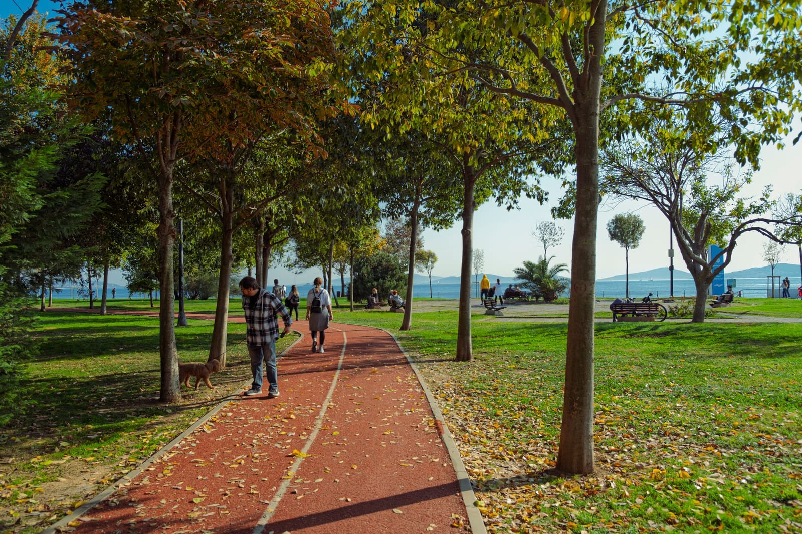フェネルバフチェ公園の海風を感じる遊歩道と木々の風景