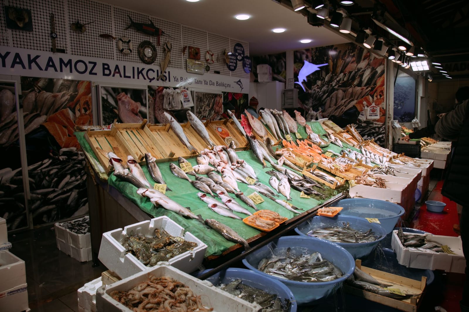 カドゥキョイの魚市場に並ぶ新鮮な旬の魚介類。
