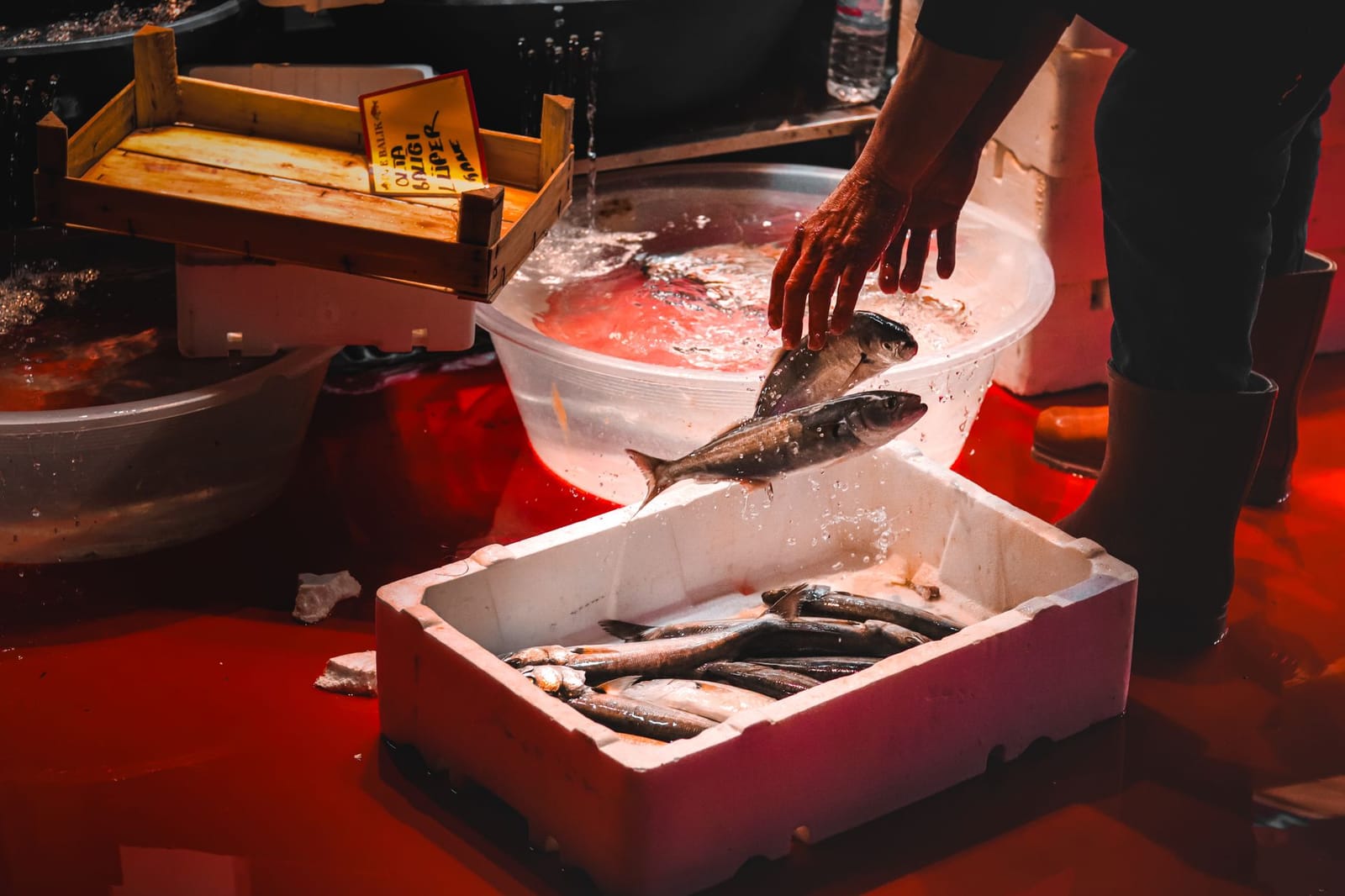 市場の店頭で新鮮な魚を仕分ける鮮魚店の店員。