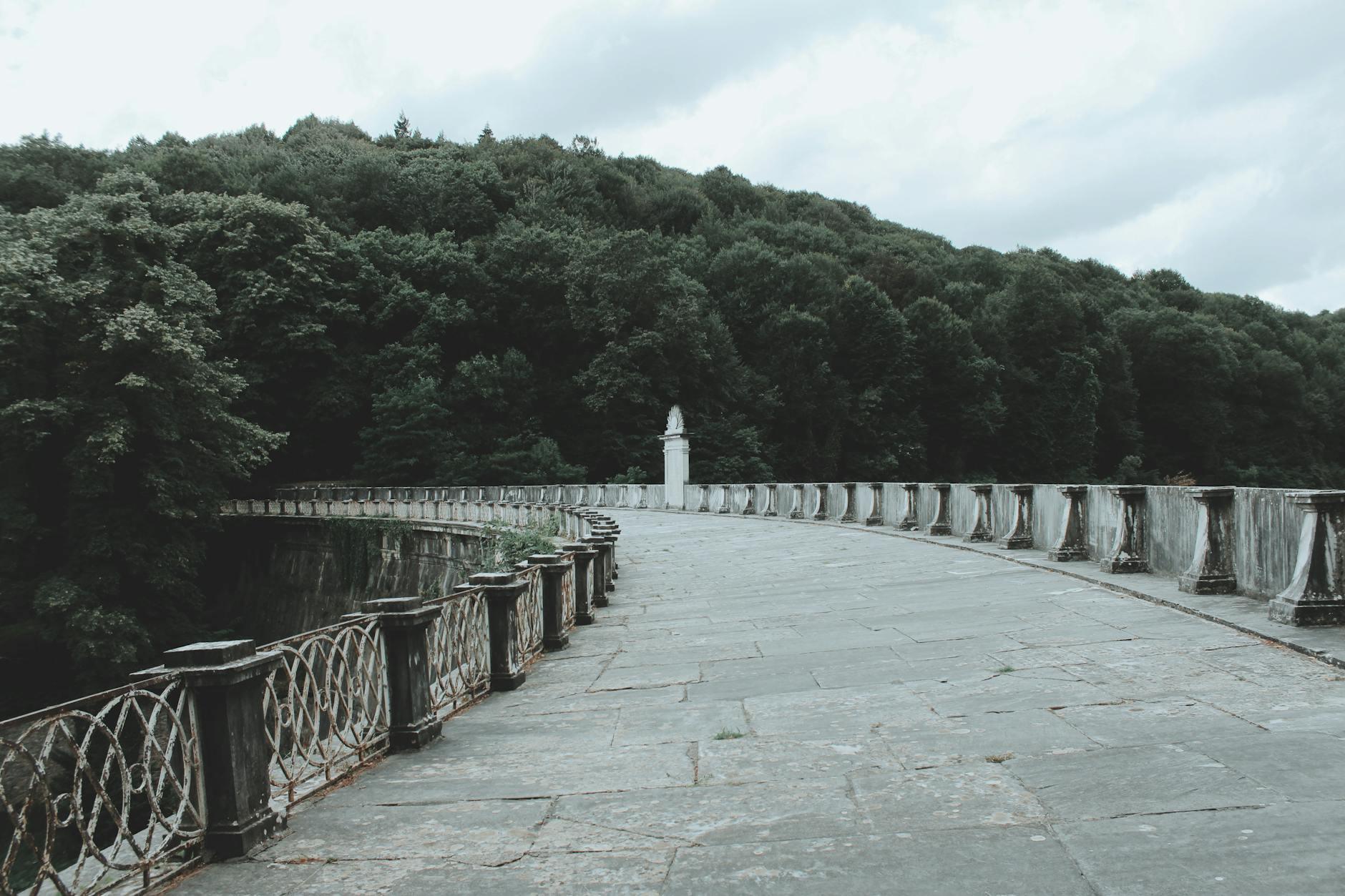 ベルグラードの森で巨匠シナンの巨大水道橋を巡るハイキングと自然の中で楽しむ朝食プラン