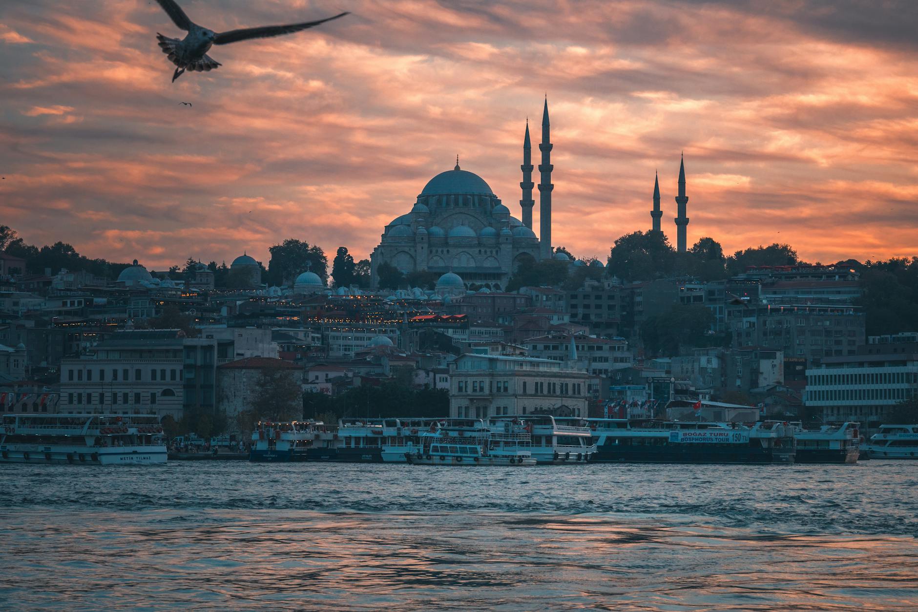 夕焼けに染まるモスクとカモメが織りなす屋上からの幻想的な絶景。